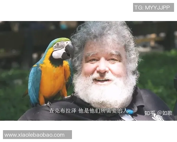 拼装足球明星的真实身份揭秘与背后故事分析