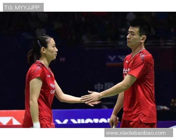 深圳羽毛球队与上海羽毛球队赛后战术分析与复盘探讨
