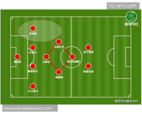成都乒乓球队与北京乒乓球队赛后复盘分析灵活性表现与战术对比