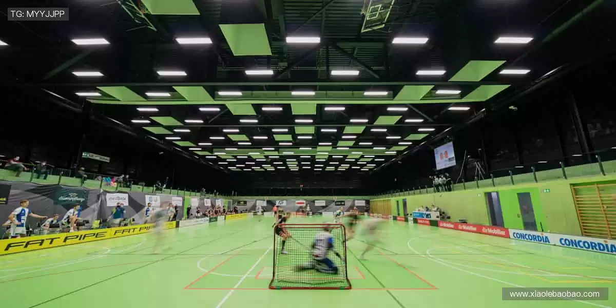 🎯 专业装备，让你的每一次挥拍都精准如冠军！